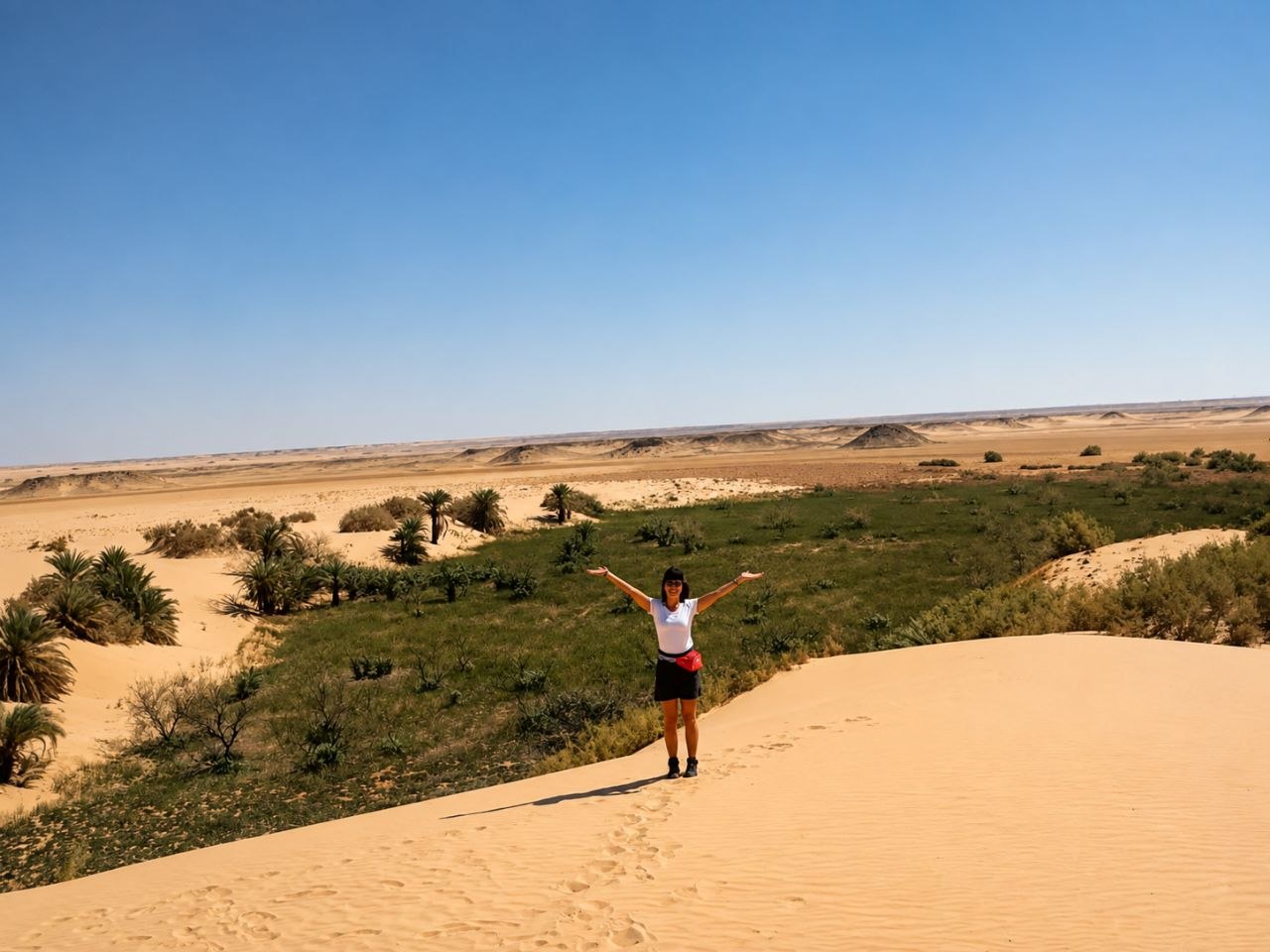 Desert safari thumbnail
