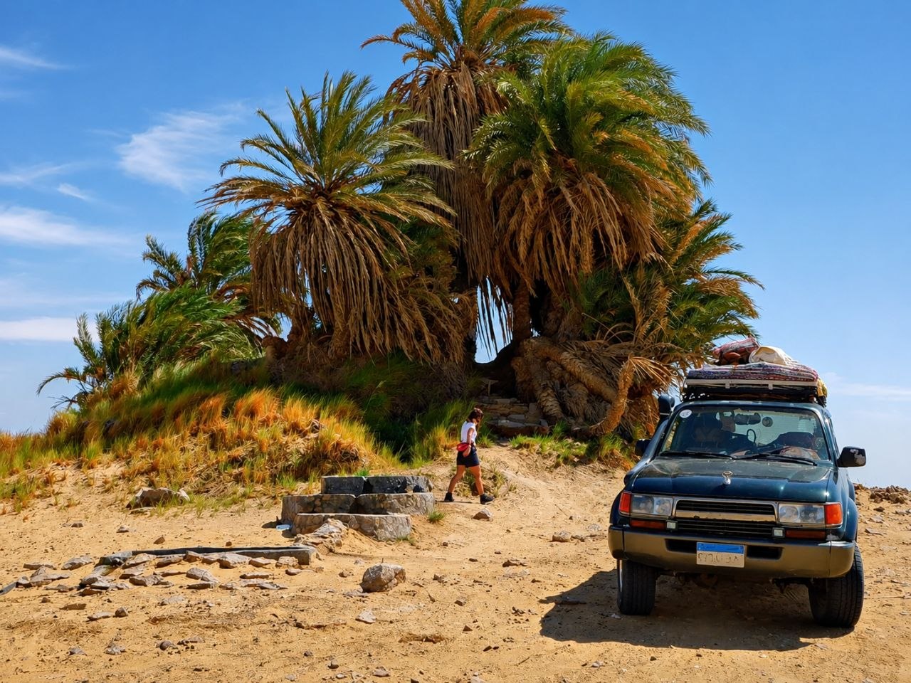 Desert safari thumbnail